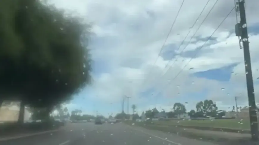 NWS Issues Tornado Warning for Fresno and Madera Counties Until 3 p.m.