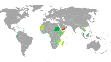 الدول المسموح لليمنيين دخولها بدون تأشيرة