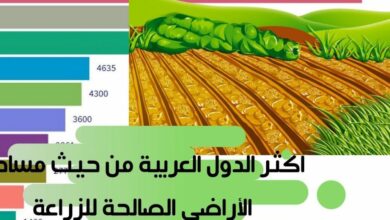 ترتيب الدول العربية من حيث الإنتاج الزراعي 2021
