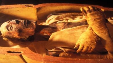 جثة فرعون موسى الحقيقية في المتحف