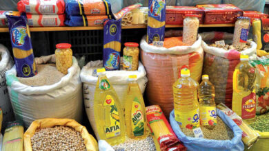 دراسة جدوى تجارة المواد الغذائية بالجملة في مصر