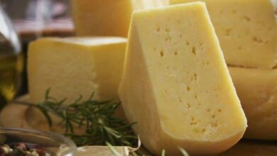 دراسة جدوى مشروع صناعة الجبن الرومي 2021