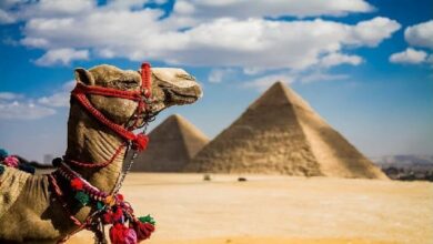 مميزات السياحة في مصر